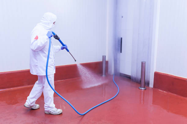 Best Residential Exterior Washing  in New Hope, AL